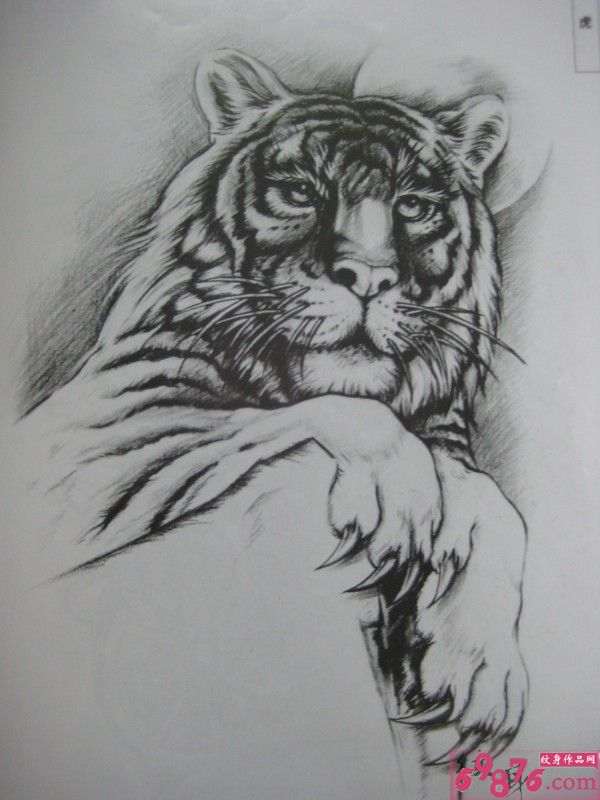 老虎纹身手稿图片