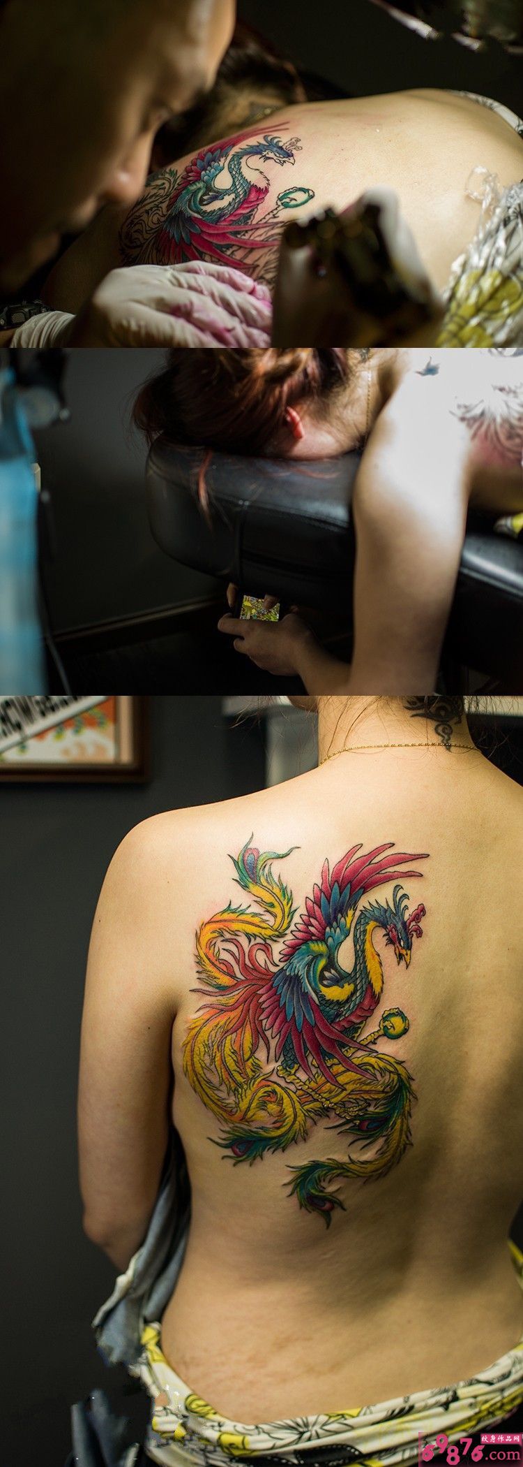 女子后背凤凰纹身现场