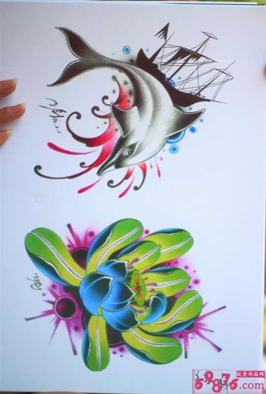 海豚莲花纹身手稿图片