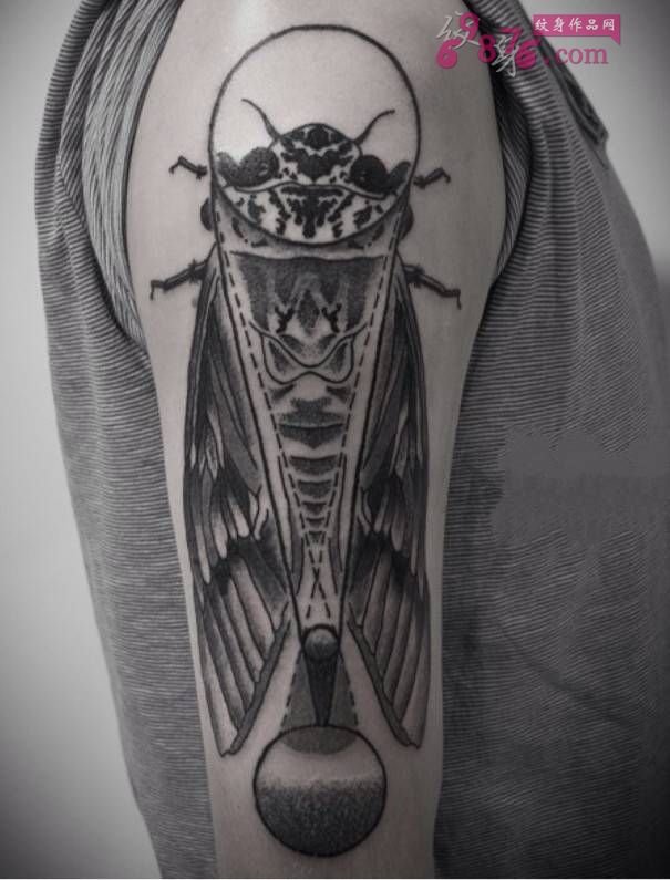 另类艺术黑白昆虫手臂纹身