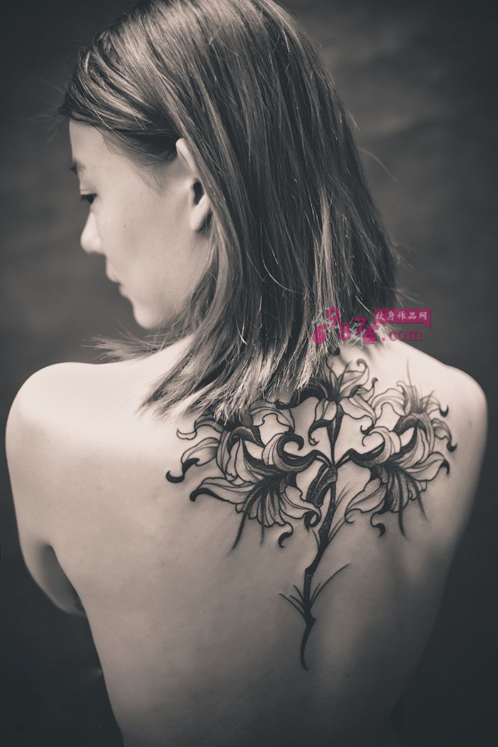美女后背百合花黑白纹身