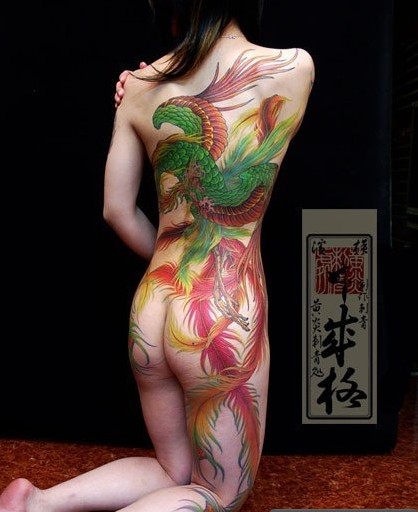 全裸美女后背凤凰纹身图图片