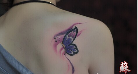 美女背部精美的彩色蝴蝶纹身图案图片