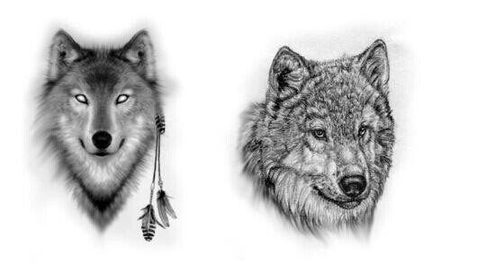 狼头纹身手稿图图片