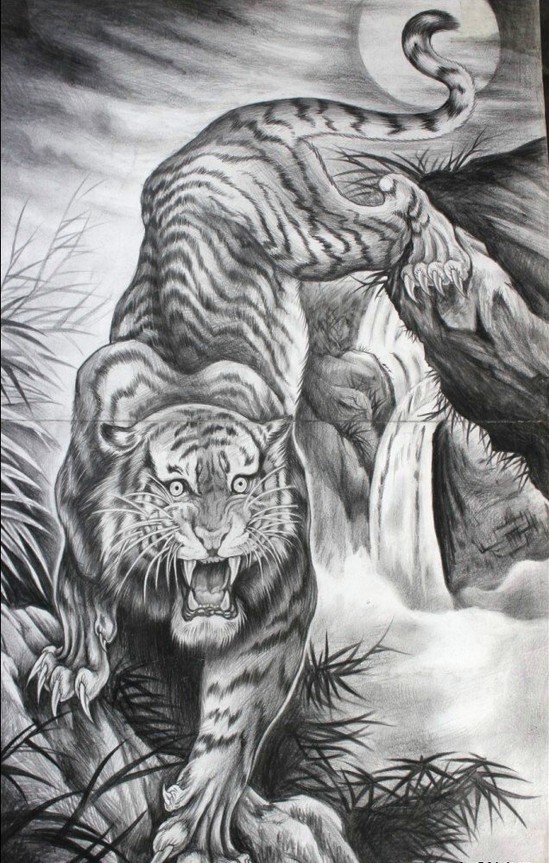 下山虎纹身手稿图案图片