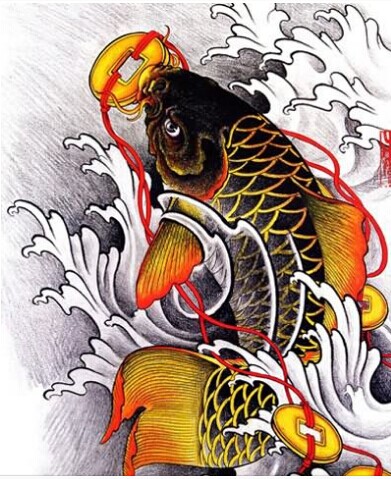 各种各样的锦鲤鱼纹身手稿图图片