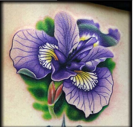 男,女生肩部彩色百合花纹身手稿图图片