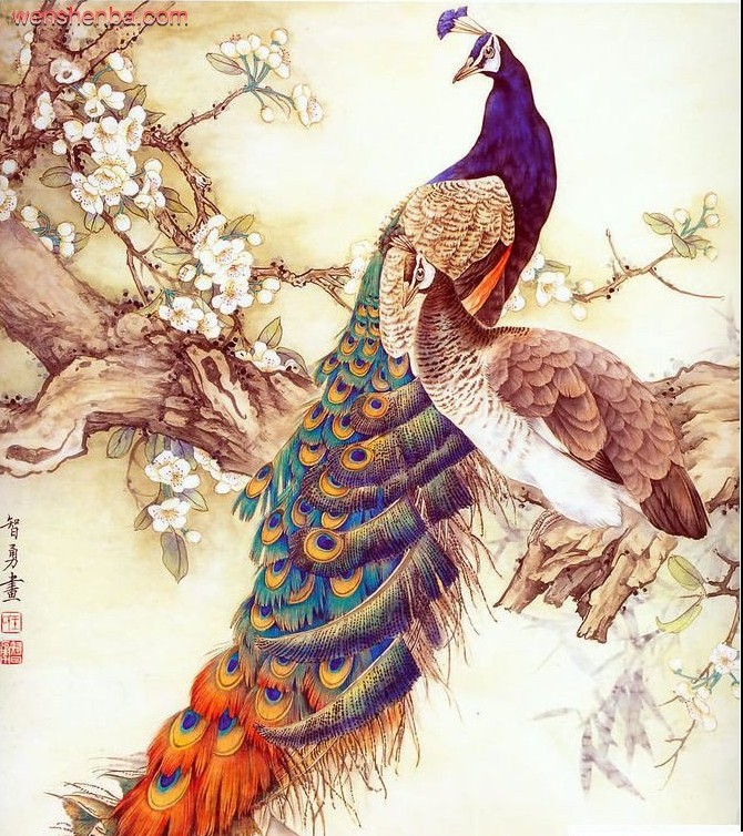 唯美的孔雀纹身图案手稿图片