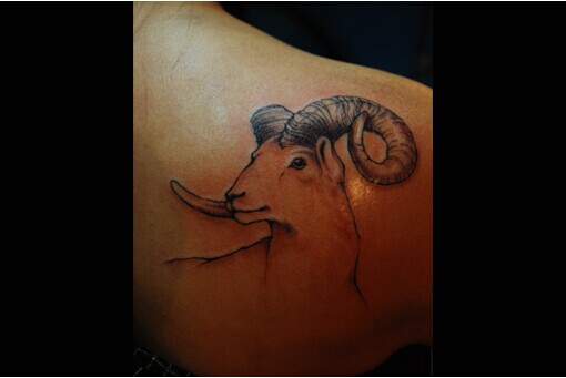 男生肩部唯美黑白山羊纹身图案