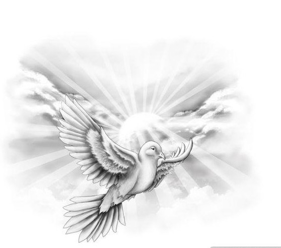 一幅时尚潮流的黑白小燕子纹身手稿图片