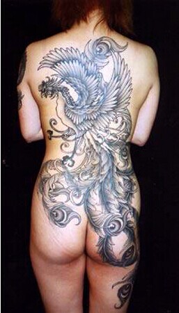 全裸性感美女后背大幅凤凰纹身图图片