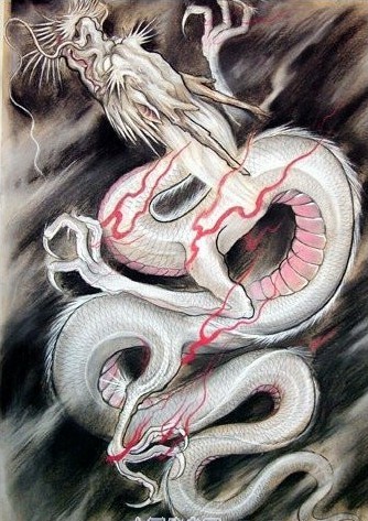 银龙素材欣赏图片