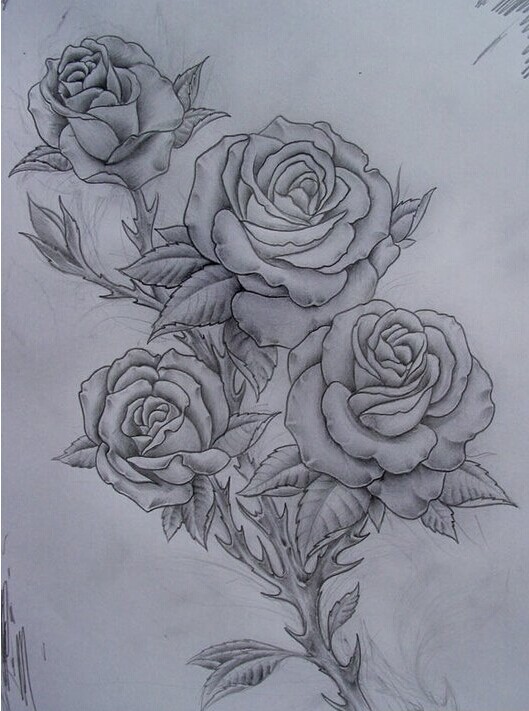 特别玫瑰花纹身手稿推荐图片