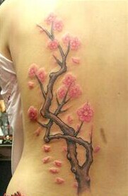 女生后背性感唯美梅花纹身图图片