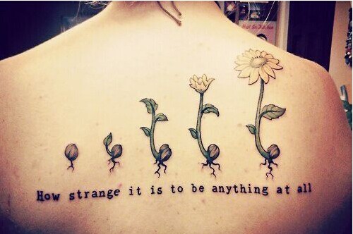 女生后背经典的向日葵成长图图片