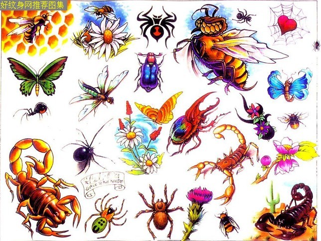 形态各异的昆虫图案纹身手稿大全图片