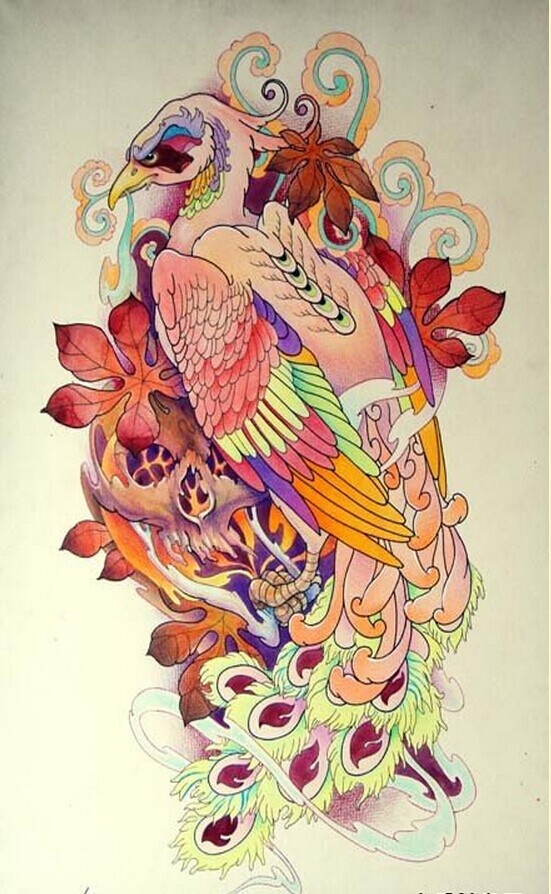 一款满背的彩色个性孔雀纹身手稿图案图片