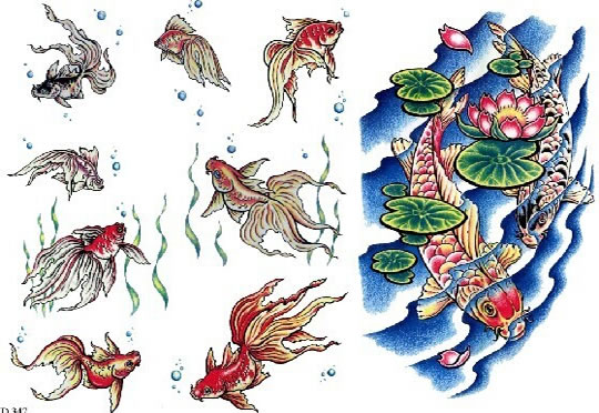 栩栩如生的金鱼图案彩色纹身手稿推荐图片