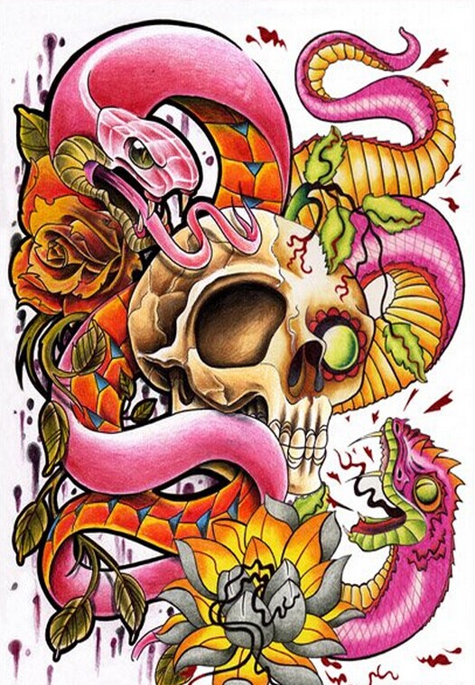 彩色骷髅蛇纹身手稿图案图片
