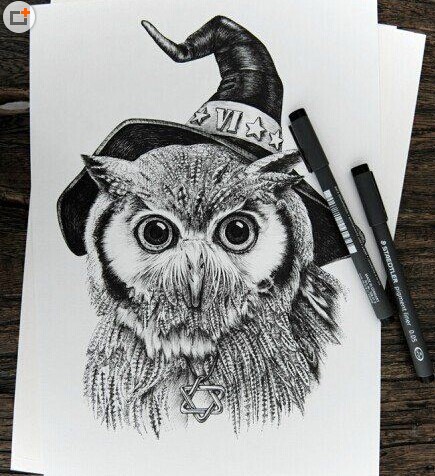 萌神猫头鹰纹身手稿图案图片