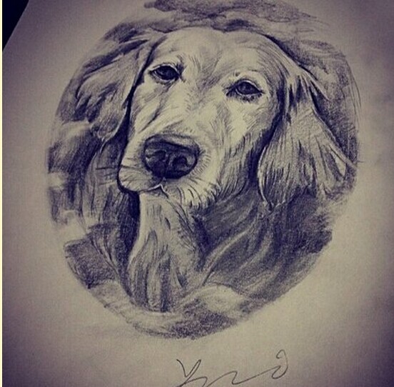 一款个性黑灰汪星人纹身手稿图案图片