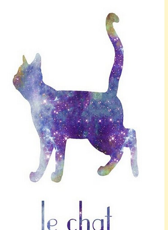 漂亮星空猫咪纹身手稿图案图片