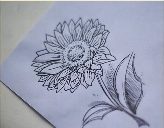 一款向日葵纹身手稿图案推荐 图片