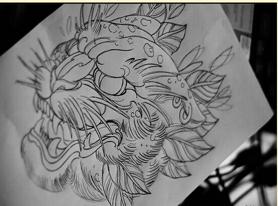 一款豹子纹身手稿图案推荐图片