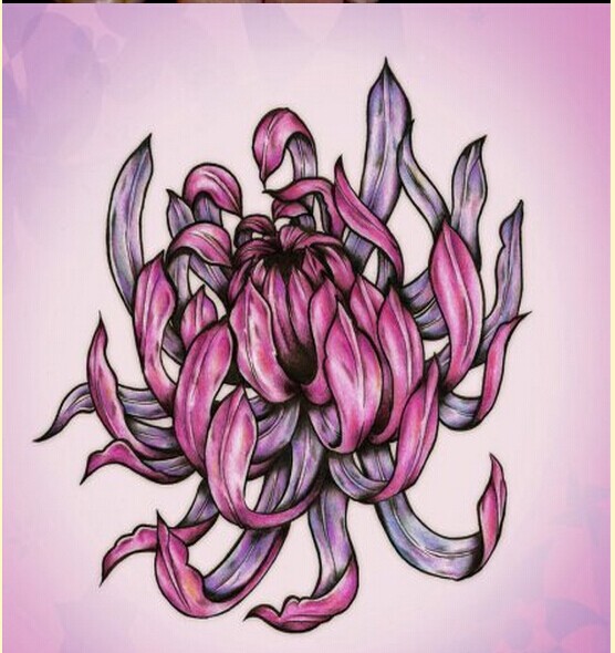 漂亮菊花纹身手稿图案欣赏图片