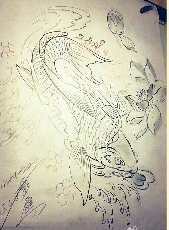 时尚漂亮鲤鱼莲花纹身手稿图片欣赏图片