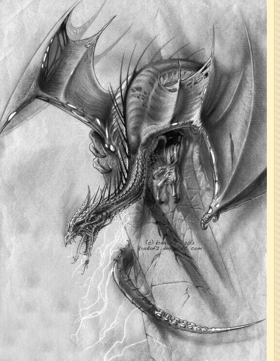 个性霸气翼龙纹身手稿图案欣赏图片