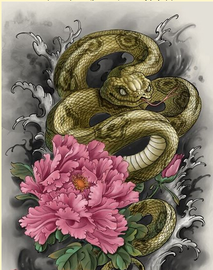 时尚经典彩色蛇牡丹纹身手稿图案欣赏图片