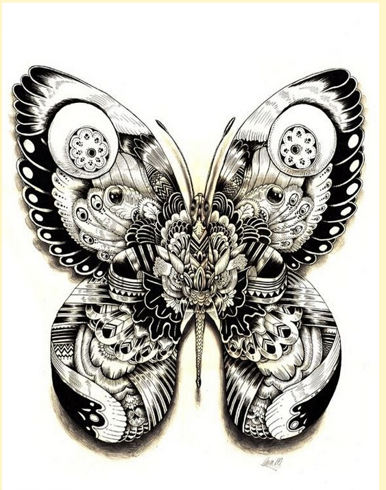 可爱漂亮蝴蝶纹身手稿图案欣赏图片