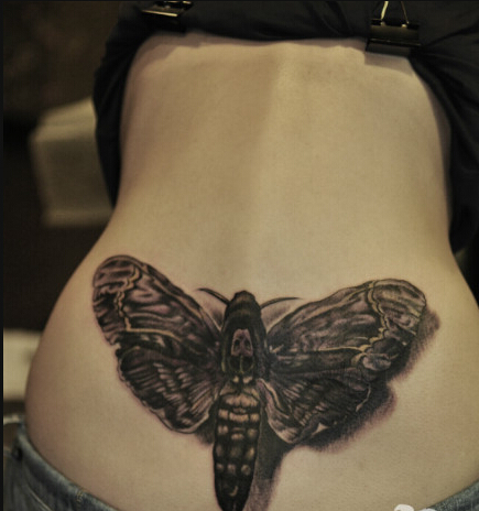 后腰经典时尚的花臂飞蛾纹身图案