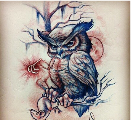 潮流时尚经典好看的猫头鹰纹身手稿图图片