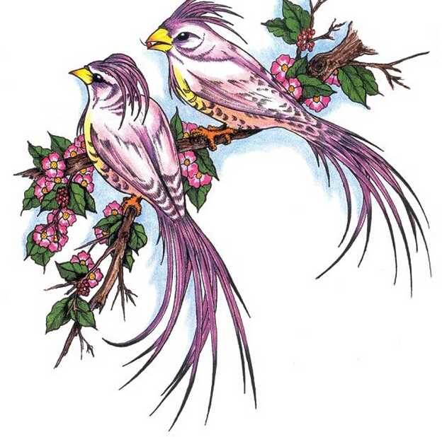 漂亮好看的喜鹊樱花纹身手稿图案图片