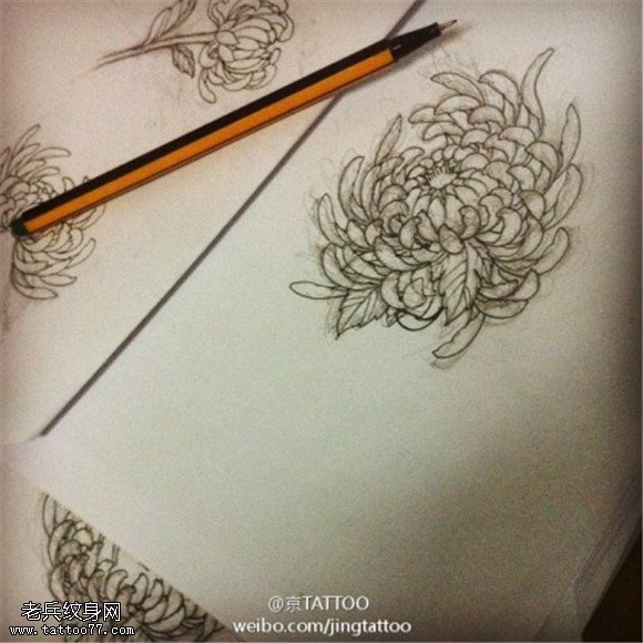 菊花纹身手稿图案