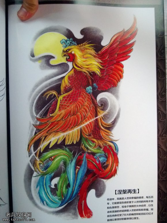 一款包臂凤凰纹身图案