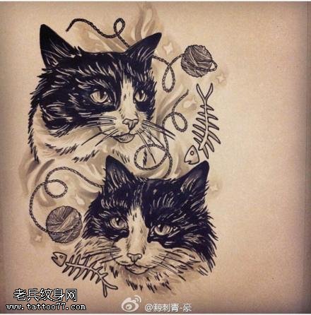 个性猫咪纹身手稿图案