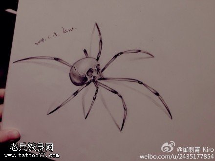 骷髅蜘蛛纹身手稿图片