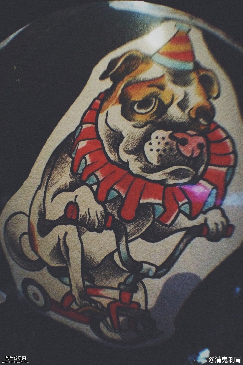 水彩卡通沙皮狗纹身图案