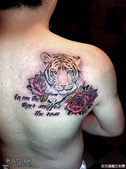背部彩色老虎玫瑰花纹身图片