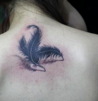 时尚漂亮的羽毛英文刺青