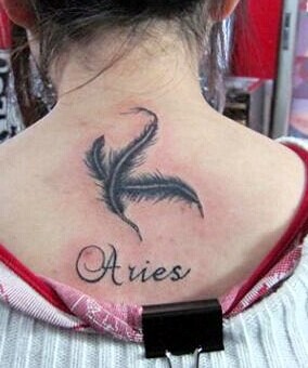 时尚漂亮的羽毛英文刺青