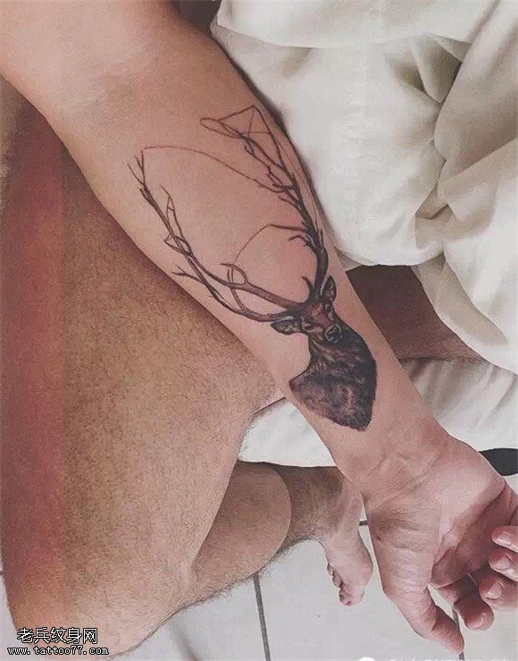 灵鹿纹身欣赏！各种漂亮
