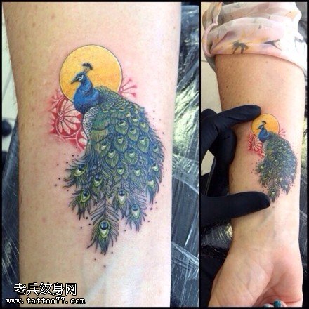 手臂彩色孔雀纹身图片