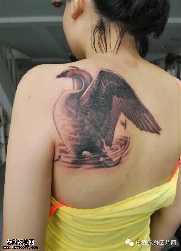 美丽的使者 纯洁的象征之天鹅纹身图案