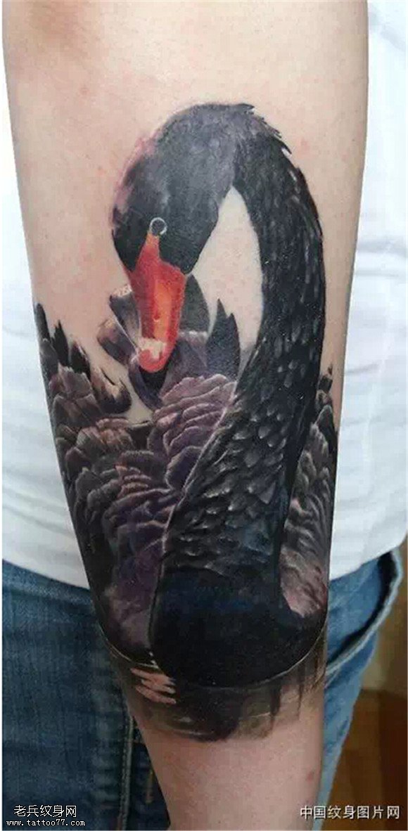 美丽的使者 纯洁的象征之天鹅纹身图案