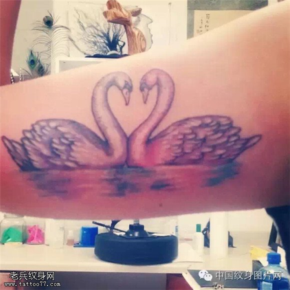 美丽的使者 纯洁的象征之天鹅纹身图案