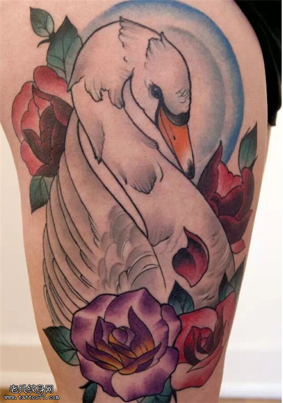 美丽的使者 纯洁的象征之天鹅纹身图案